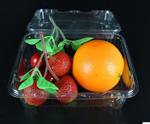 Plastic Blister Packaging Box 