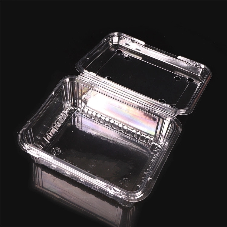 Food Packaging Containers Plastic 
